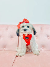 Load image into Gallery viewer, ‘Merlot’ Adjustable Harness by Sassy Woof