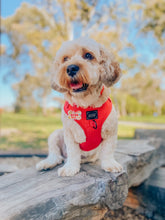 Load image into Gallery viewer, ‘Merlot’ Adjustable Harness by Sassy Woof