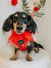 Load image into Gallery viewer, ‘Merlot’ Adjustable Harness by Sassy Woof