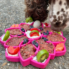 Load image into Gallery viewer, Mandala Enrichment Tray(Lick Mat/ Slow Feeder)