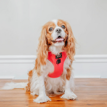 Load image into Gallery viewer, Dog Adjustable Harness - Neon Pink by Sassy Woof