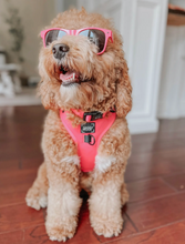 Load image into Gallery viewer, Dog Adjustable Harness - Neon Pink by Sassy Woof