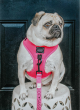 Load image into Gallery viewer, Dog Adjustable Harness - Neon Pink by Sassy Woof