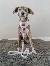 Load image into Gallery viewer, Dog Adjustable Harness - Sakura by Sassy Woof