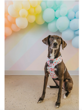 Load image into Gallery viewer, Dog Adjustable Harness - Sakura by Sassy Woof