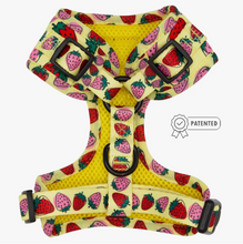 Load image into Gallery viewer, Dog Adjustable Harness - Strawberry Fields Furever by Sassy Woof
