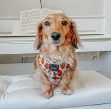 Load image into Gallery viewer, Dog Adjustable Harness - Strawberry Fields Furever by Sassy Woof