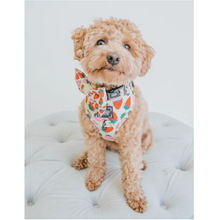 Load image into Gallery viewer, Dog Adjustable Harness - Strawberry Fields Furever by Sassy Woof