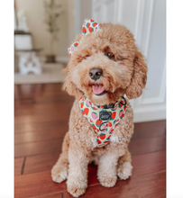 Load image into Gallery viewer, Dog Adjustable Harness - Strawberry Fields Furever by Sassy Woof