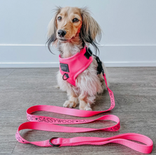 Load image into Gallery viewer, Neon Pink Dog Fabric Leash by Sassy Woof