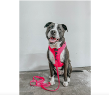 Load image into Gallery viewer, Neon Pink Dog Fabric Leash by Sassy Woof