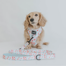 Load image into Gallery viewer, Sakura Floral Fabric Leash by Sassy Woof