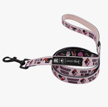 Load image into Gallery viewer, Dog Leash - Harley Quinn™