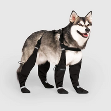 Load image into Gallery viewer, Winter Suspender Boots - by Canada Pooch