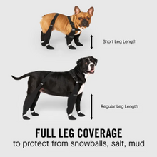Load image into Gallery viewer, Winter Suspender Boots - by Canada Pooch