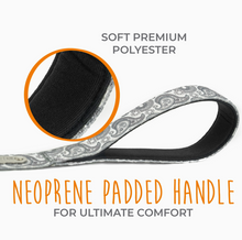 Load image into Gallery viewer, 6' Designer Dog Leash (Grey Paisley)