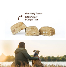 Load image into Gallery viewer, Northern Biscuit - Softies: Lamb & Pumpkin - 170g
