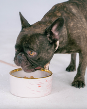 Load image into Gallery viewer, Blush Pink Marble Dog Bowl with Gold Accent