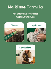 Load image into Gallery viewer, Earth Rated No-Rinse Dog Shampoo