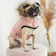 Load image into Gallery viewer, Urban Parka- GF Pet Elasto-Fit