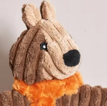 Load image into Gallery viewer, Nutmeg Squirrel Flattie ~ HuggleHounds