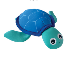 Load image into Gallery viewer, Under the Sea Freeze 'n Float