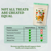 Load image into Gallery viewer, Organic Botanical Bones Dog Biscuits - Various