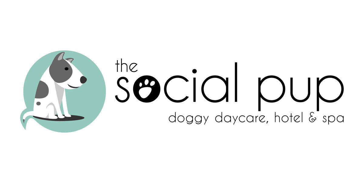 Dog clothing, accessories, toys, treats and housewares. The Social Pup