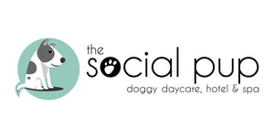 The Social Pup