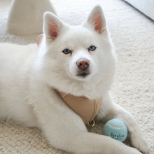 Load image into Gallery viewer, So Fetch! Tennis Ball - Cloud