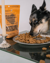 Load image into Gallery viewer, Pumpkin and Cranberry Dog Treats