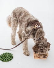 Load image into Gallery viewer, Army Green Circle Enrichment Snuffle Mat