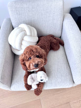 Load image into Gallery viewer, Koko Mini Plushie