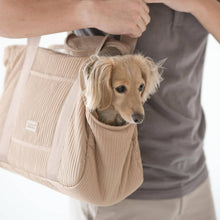 Load image into Gallery viewer, CITY//PET CARRIER