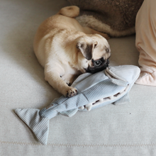 Load image into Gallery viewer, TROUT//ENRICHMENT DOG TOY