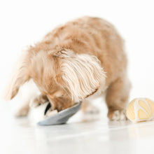 Load image into Gallery viewer, GILLARDEAU//ENRICHMENT DOG TOY