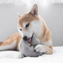 Load image into Gallery viewer, GUU //HAZE//NOSEWORK//ENRICHMENT DOG TOY