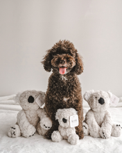 Load image into Gallery viewer, Koko Maxi Plushie