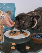 Load image into Gallery viewer, Peanut Butter & Blueberries Dog Treats