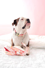 Load image into Gallery viewer, Lulu Pink Floral Voile Dog Collar