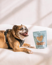 Load image into Gallery viewer, Peanut Butter & Blueberries Dog Treats