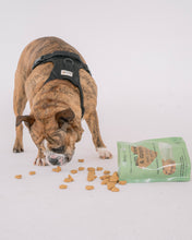 Load image into Gallery viewer, Beef & Apple Dog Treats
