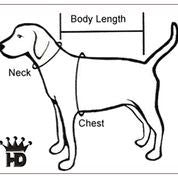 Load image into Gallery viewer, Elite Reflective Coat - Ice Blue by Hip Doggie