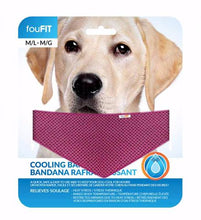 Load image into Gallery viewer, FouFIT Cooling Bandana