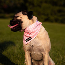 Load image into Gallery viewer, Dog Bandana - Blush Pink Donut by Bcuddly