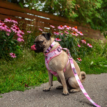 Load image into Gallery viewer, Control Dog Harness -Blush Pink by Bcuddly