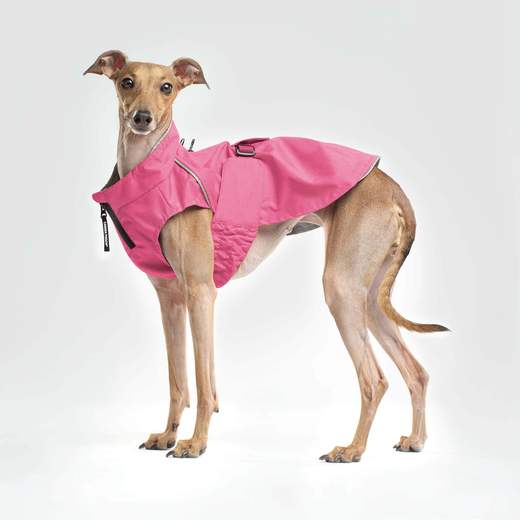 The Expedition Raincoat - Pink