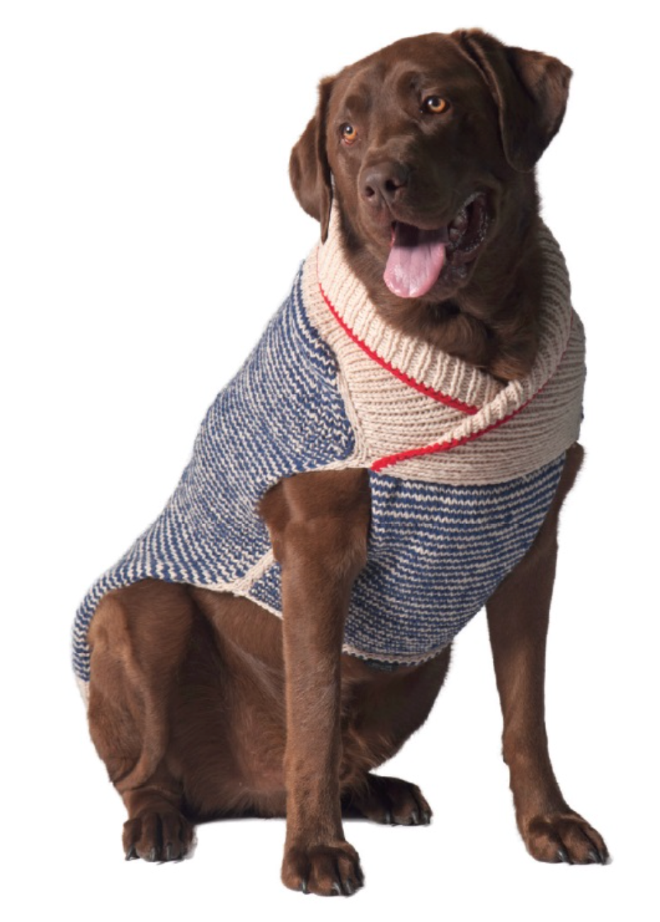Chilly Dog Sweaters – Spencer