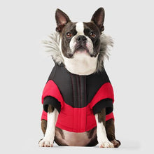 Load image into Gallery viewer, True North Parka by Canada Pooch