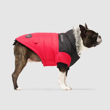 Load image into Gallery viewer, True North Parka by Canada Pooch